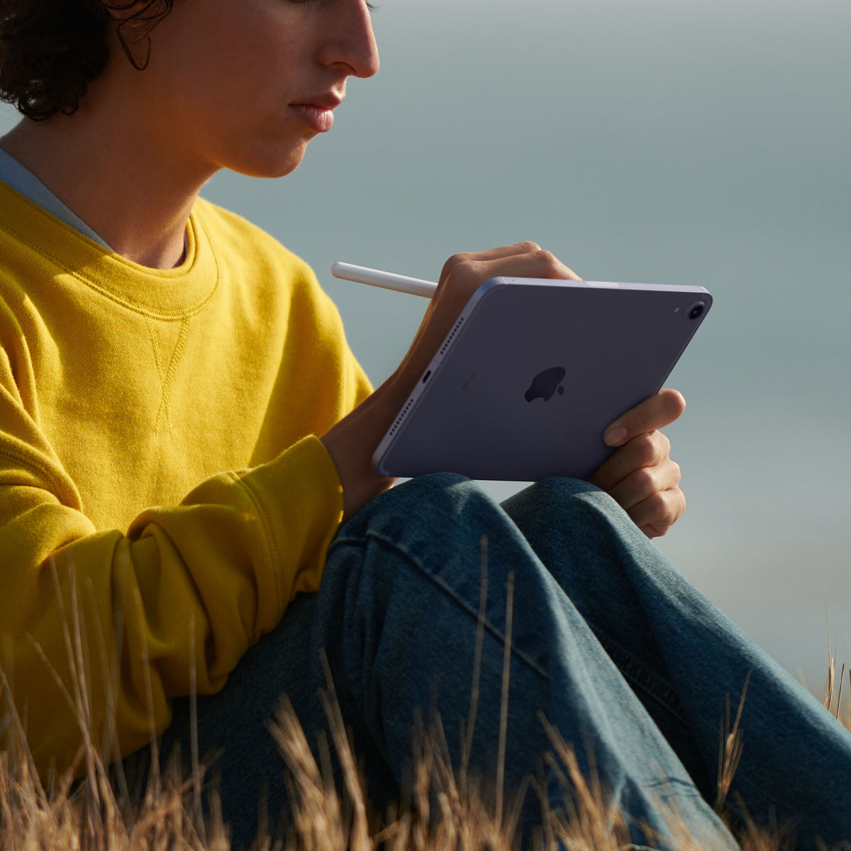 Apple iPad mini (6th Gen) - 21.1 cm (8.3&quot;) - Wi-Fi - 64GB - Starlight