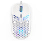ENDORFY LIX Onyx - USB Type-C Wired Optical Mouse in White - 8,000 DPI