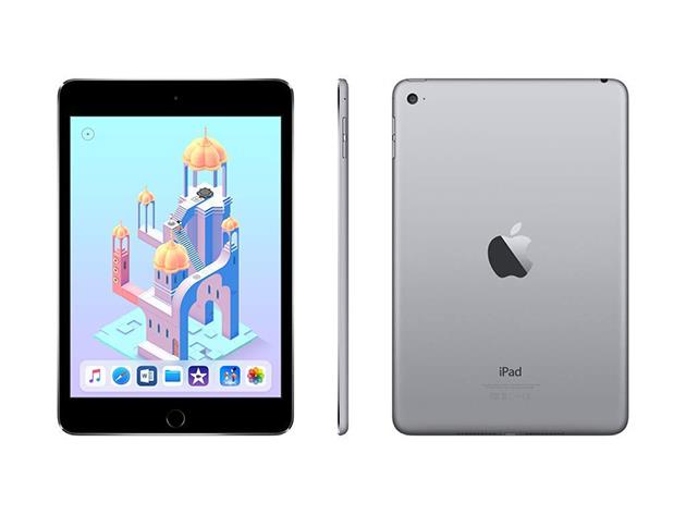 Apple iPad Mini 4 (2015) - 7.9&quot; - Wi-Fi Only - Refurbished