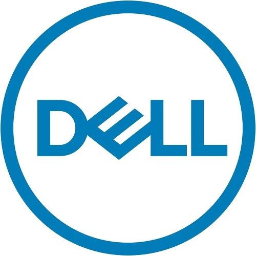 DELL 345-BBYZ internal solid state drive 2.5&quot; 960 GB SAS