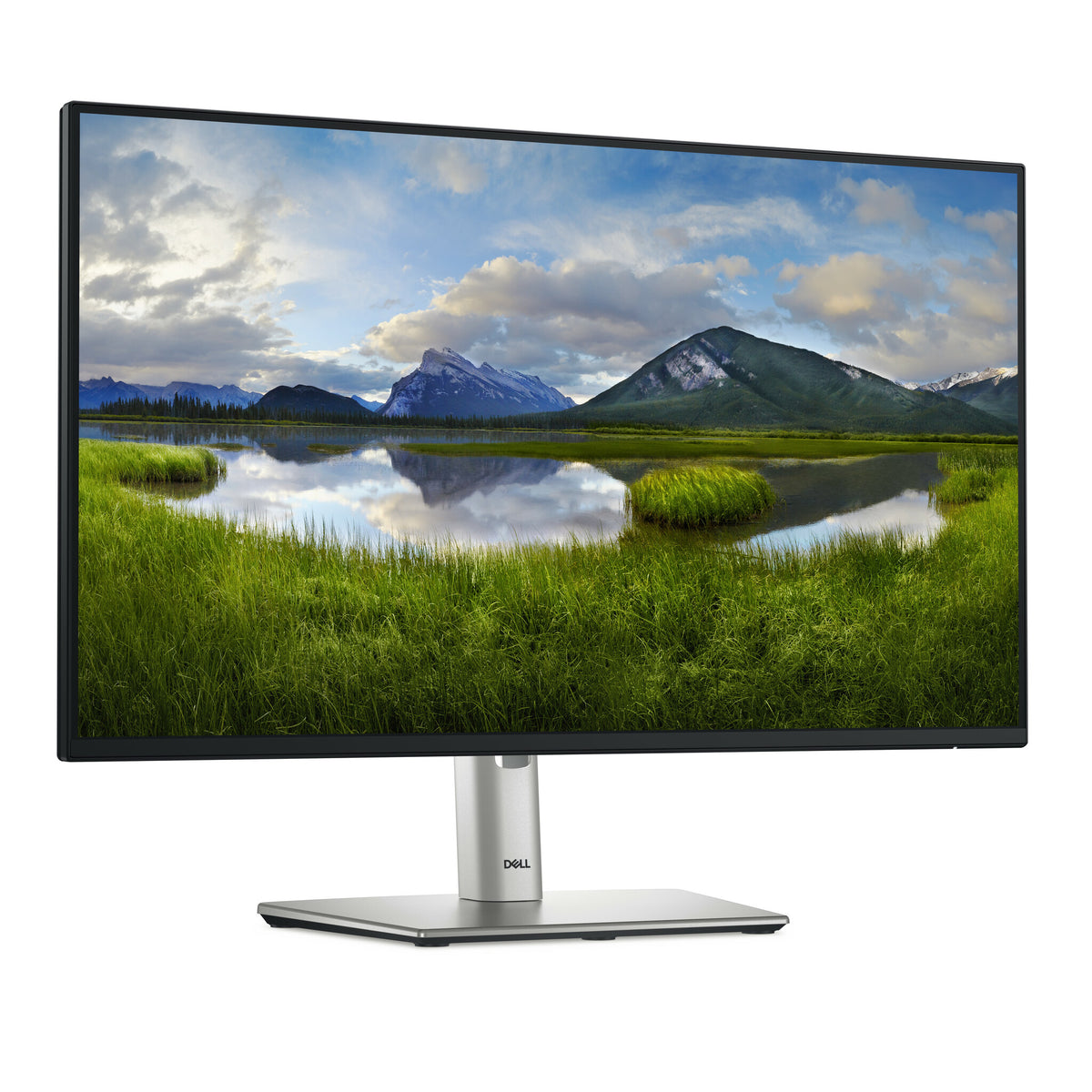 DELL P Series P2425H - 60.5 cm (23.8") - 1920 x 1080 pixels FHD LCD Monitor