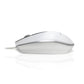 Accuratus M100 - USB Type-C Optical Mouse - 800 DPI