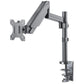Manhattan 461580 - Desk monitor mount for 43.2 cm (17") to 81.3 cm (32")