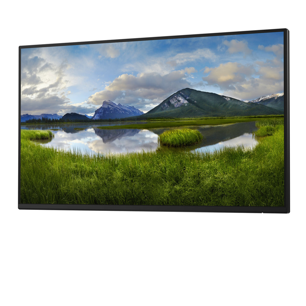 DELL P Series P2425H_WOST - 61 cm (24") - 1920 x 1080 pixels Full HD LCD Monitor (No Stand)