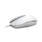 Accuratus M100 - USB Type-C Optical Mouse - 800 DPI