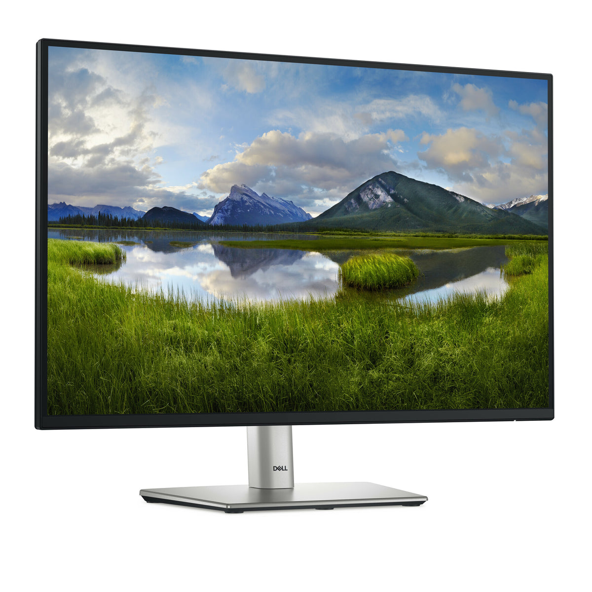 DELL P Series P2425E - 61.1 cm (24.1") - 1920 x 1200 pixels WUXGA LCD Monitor