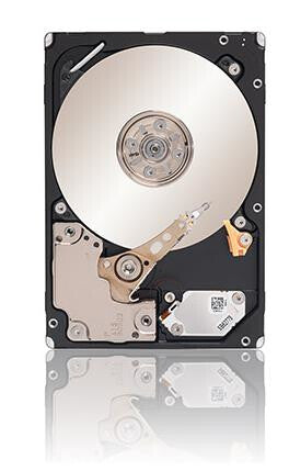 Seagate Savvio - 10K RPM SAS 2.5" HDD  - 900 GB