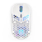ENDORFY LIX Plus Onyx - USB Type-C Wired + RF Wireless Optical Mouse in White - 19,000 DPI