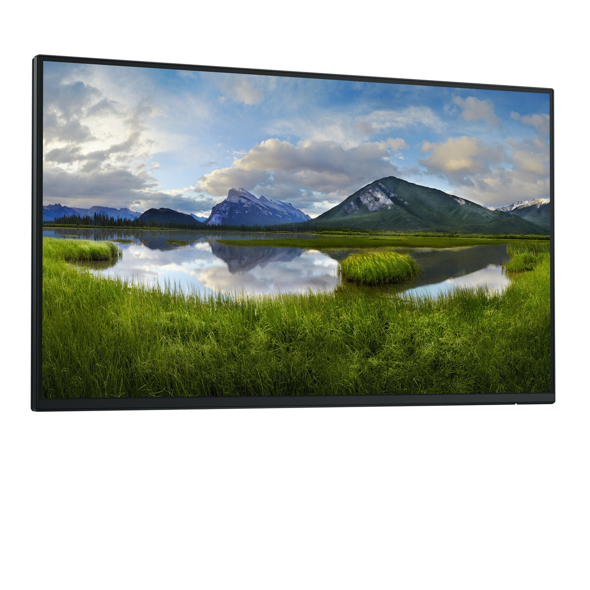 DELL P Series P2425H_WOST - 61 cm (24") - 1920 x 1080 pixels Full HD LCD Monitor (No Stand)
