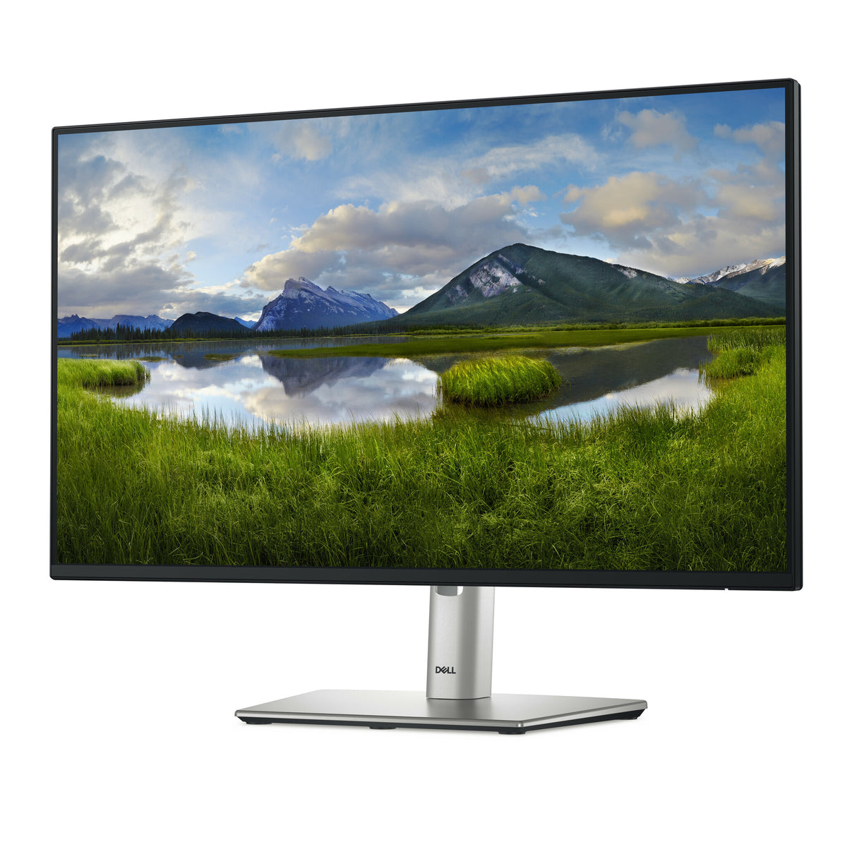 DELL P Series P2425H - 60.5 cm (23.8") - 1920 x 1080 pixels FHD LCD Monitor