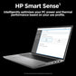 HP ZBook Fury G11 Laptop - 40.6 cm (16") - Intel® Core i9-14900HX - 64 GB DDR5-SDRAM - 2 TB SSD - NVIDIA Quadro RTX 5000 - Wi-Fi 7 - Windows 11 Pro - Silver