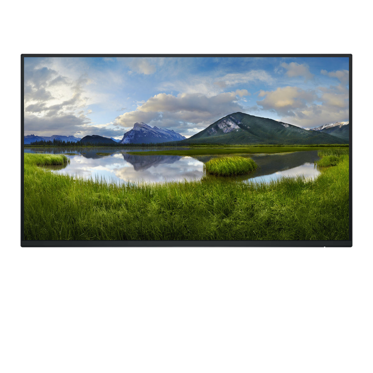 DELL P Series P2425H_WOST - 61 cm (24") - 1920 x 1080 pixels Full HD LCD Monitor (No Stand)