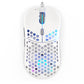 ENDORFY LIX Plus - USB Type-C Wired Optical Mouse in White - 19,000 DPI