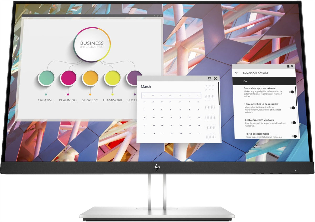 HP E-Series E24 G4 FHD Monitor