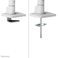Neomounts DS75S-950WH2 - Desk monitor mount for 43.2 cm (17") to 68.6 cm (27")