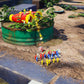 Pikmin 4 - Nintendo Switch