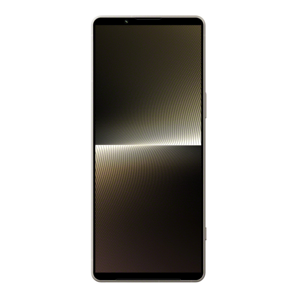 Sony Xperia 1 V - Platinum SIlver Front