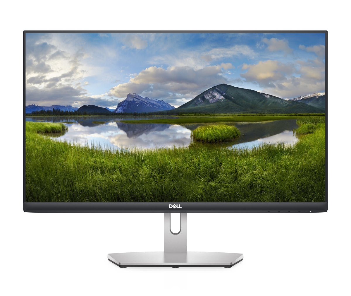 DELL S Series S2421HN LED display 60.5 cm (23.8&quot;) 1920 x 1080 pixels Full HD LCD