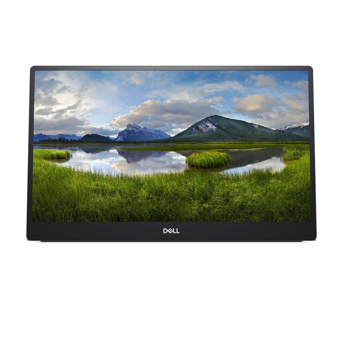 DELL P Series P1424H Portable Monitor 35.6 cm (14") 1920 x 1080 pixels Full HD LCD