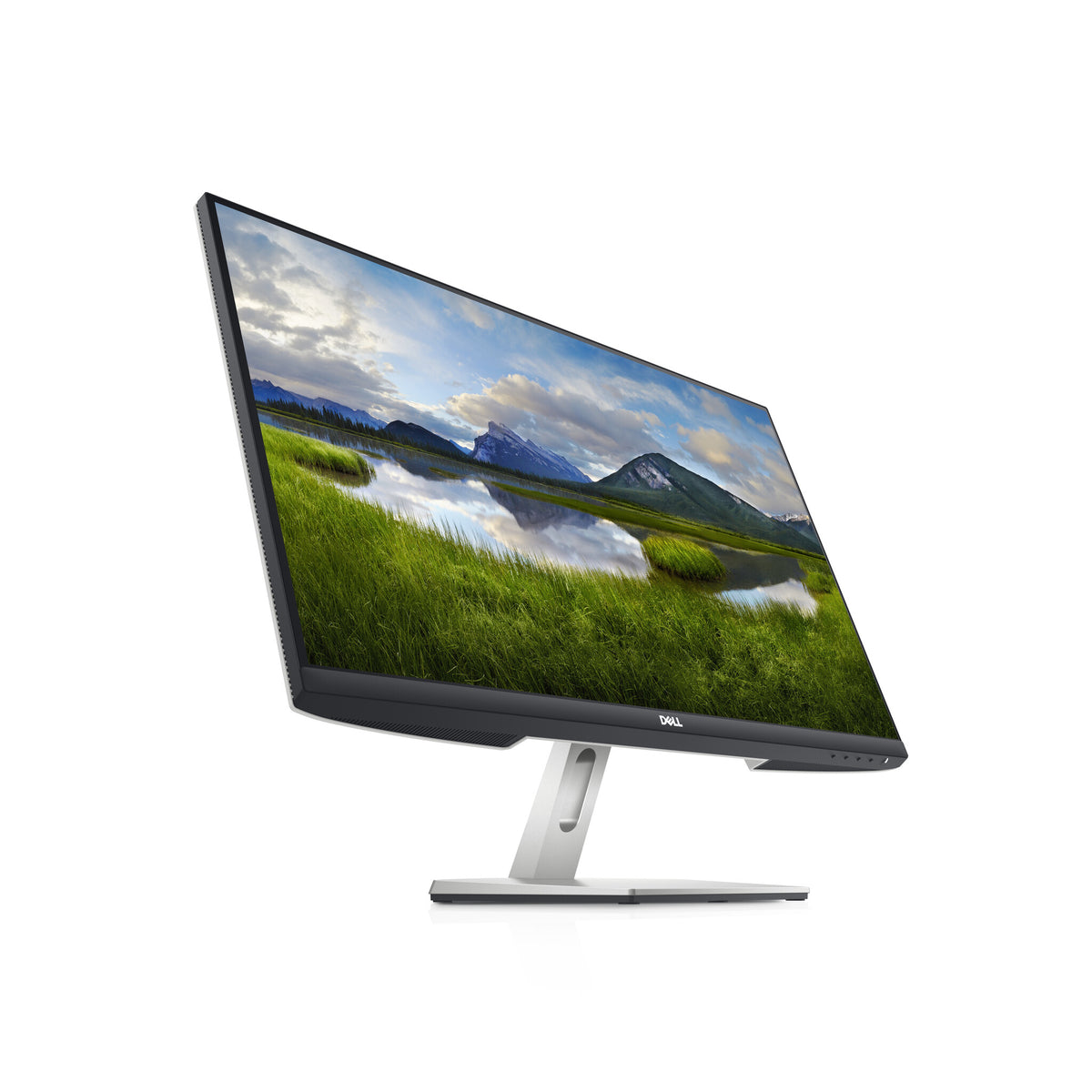 DELL S Series S2421HN LED display 60.5 cm (23.8") 1920 x 1080 pixels Full HD LCD