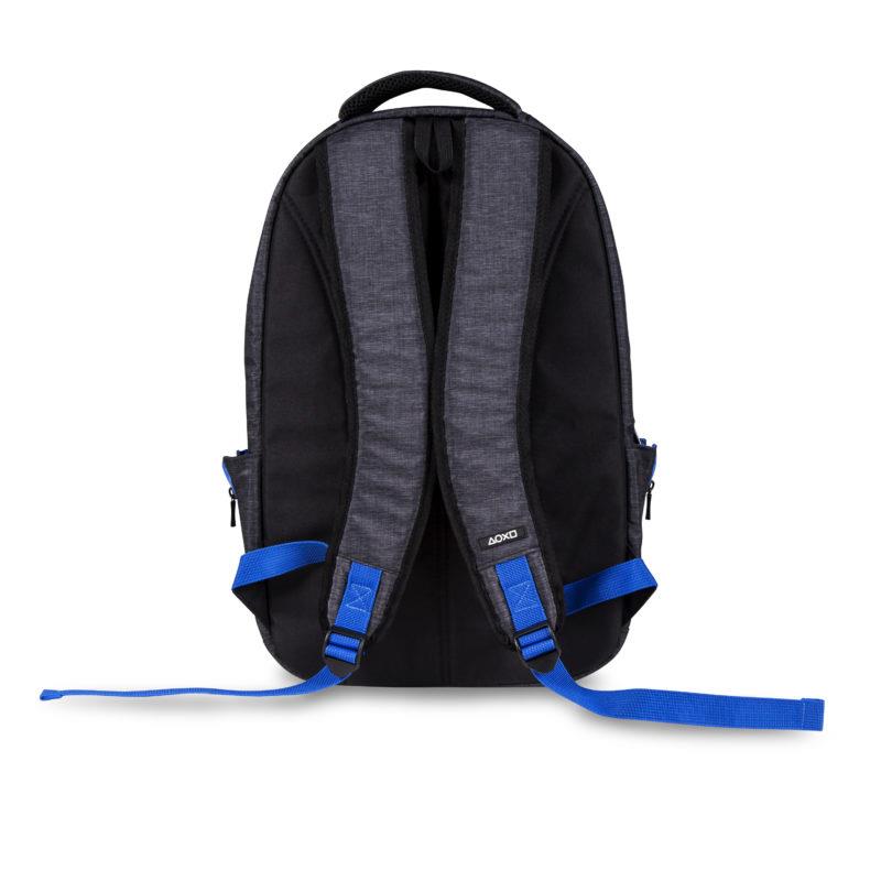 PS4 Premium Back Pack