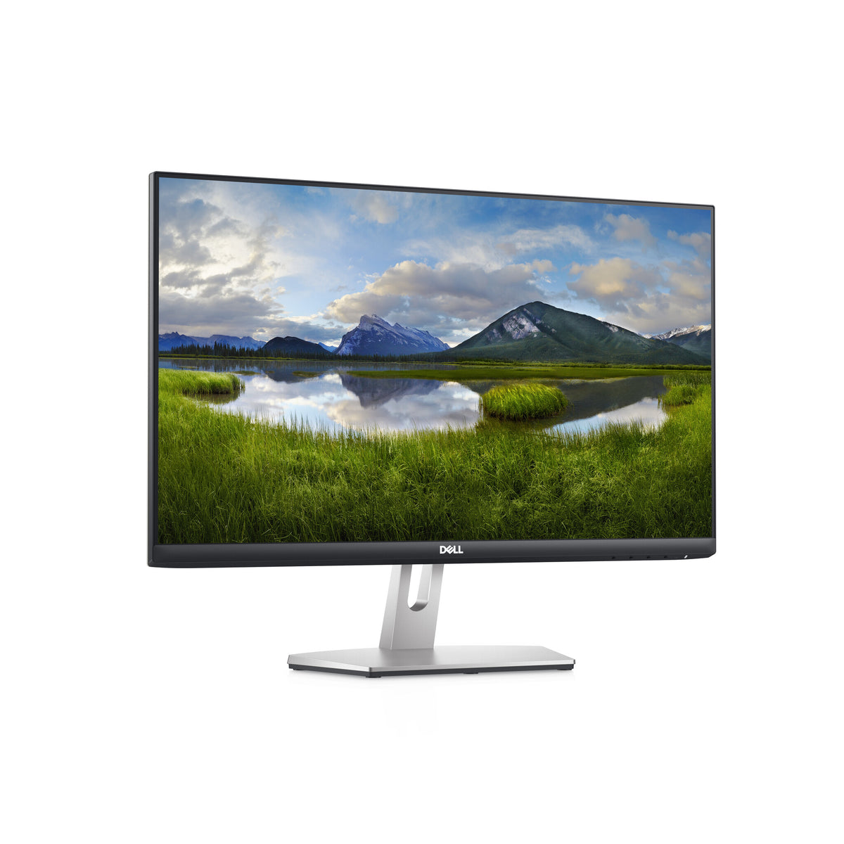 DELL S Series 24 S2421HN computer monitor 60.5 cm (23.8&quot;) 1920 x 1080 pixels Full HD LCD