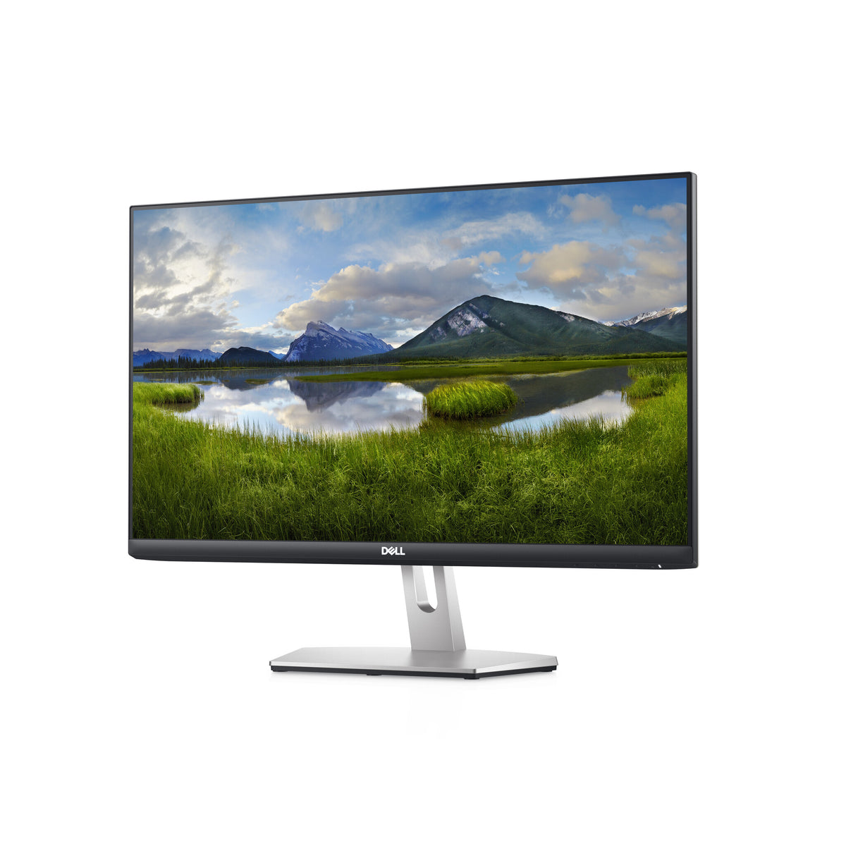 DELL S Series 24 S2421HN computer monitor 60.5 cm (23.8&quot;) 1920 x 1080 pixels Full HD LCD