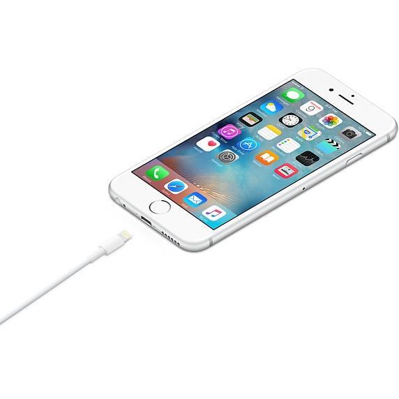 Apple Lightning to USB Cable - 0.5m